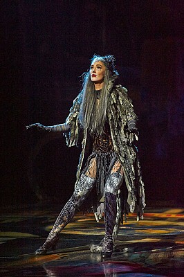 Delta Goodrem Cats